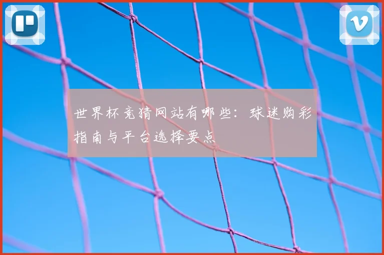 世界杯竞猜网站有哪些：球迷购彩指南与平台选择要点