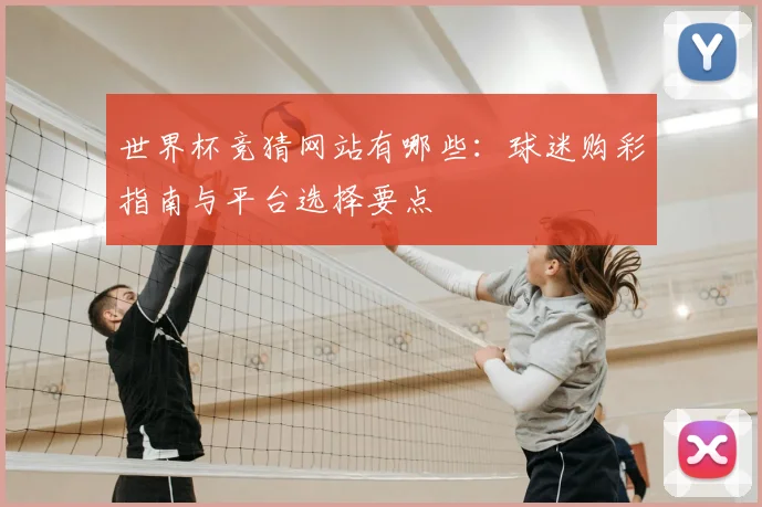 世界杯竞猜网站有哪些：球迷购彩指南与平台选择要点