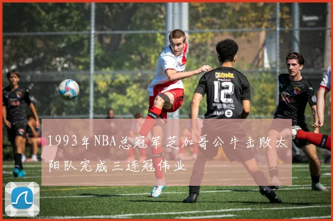 1993年NBA总冠军芝加哥公牛击败太阳队完成三连冠伟业