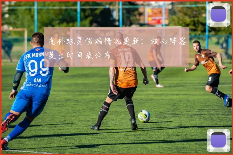 虎补球员伤病情况更新：核心阵容复出时间表公布