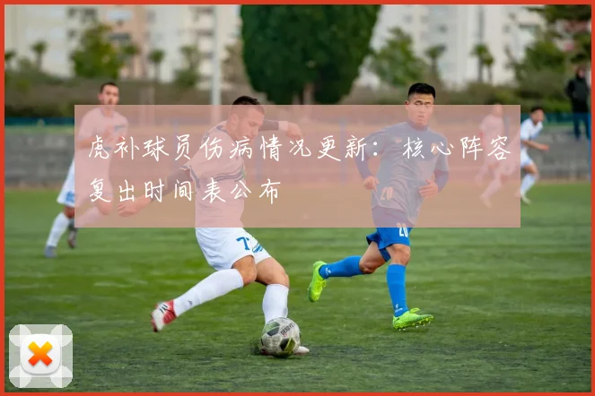 虎补球员伤病情况更新：核心阵容复出时间表公布