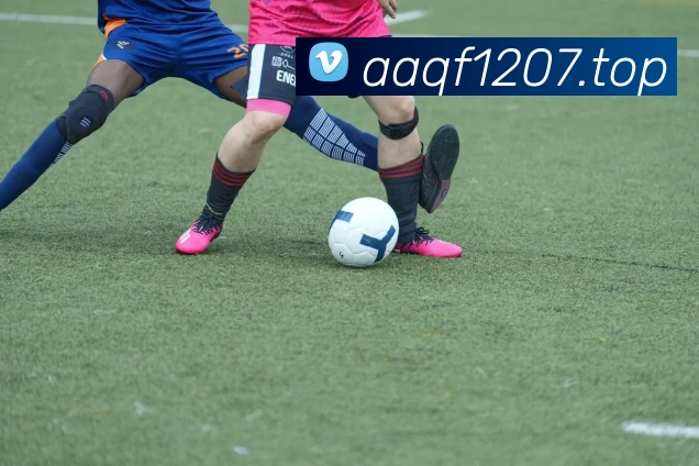 世界杯在线免费直播APP 高清赛事图